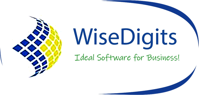 WiseDigits: Ideal Software for Business